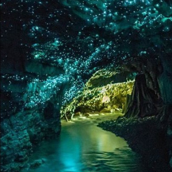 Meet your Posher, Vita - Picture 1 of 1